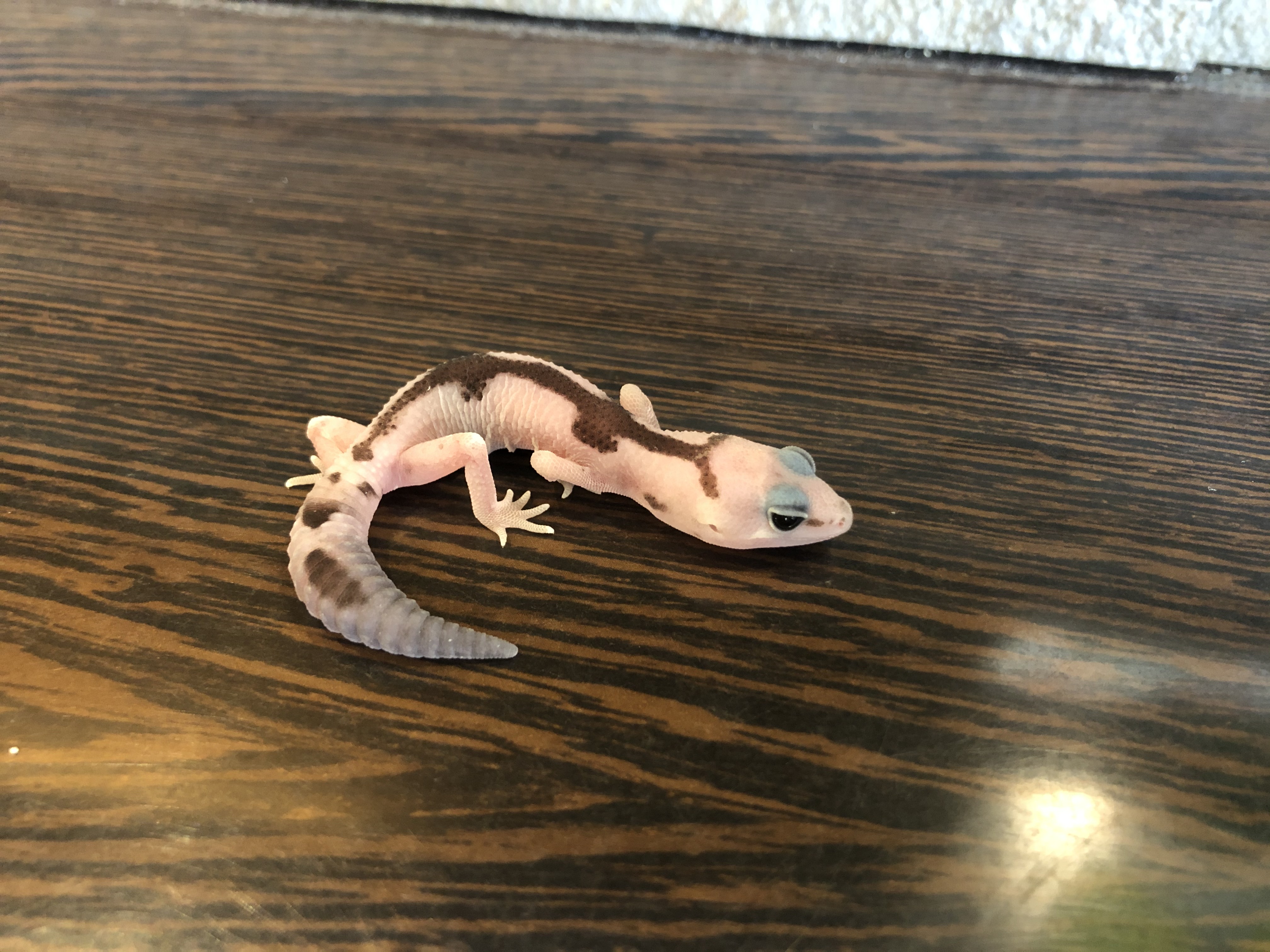 UodgHLgVDvhIsW5nJBkCtLB4zCxLd1